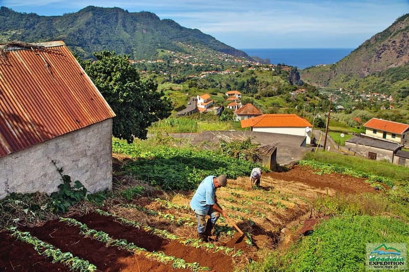 Madeira: Santana Jeep Safari and Balções Levada Walk - Off-road tracks near Ribeiro Frio and Cova da Roda