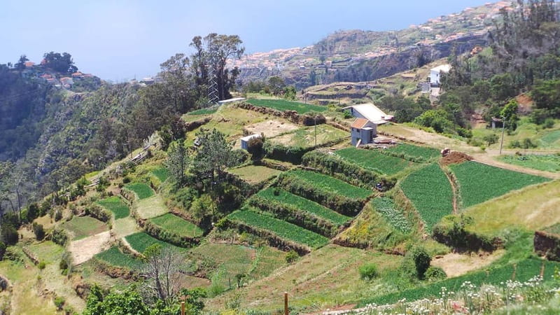 Madeira: Santana Jeep Safari and Balções Levada Walk - Faial and the changing views of the north coast