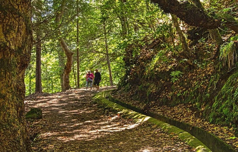 Madeira: Santana Jeep Safari and Balções Levada Walk - Porto da Cruz and Madeira’s rum tradition