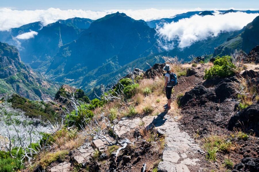 Madeira Stairway to Heaven to Larano Hike Mountain to Sea - A picnic with local snacks
