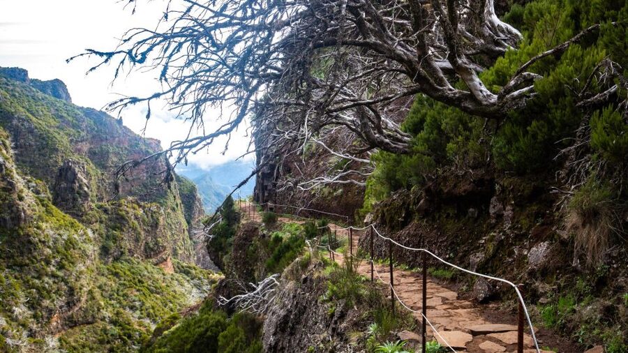 Madeira Stairway to Heaven to Larano Hike Mountain to Sea - What Katrin and Richard add to the day
