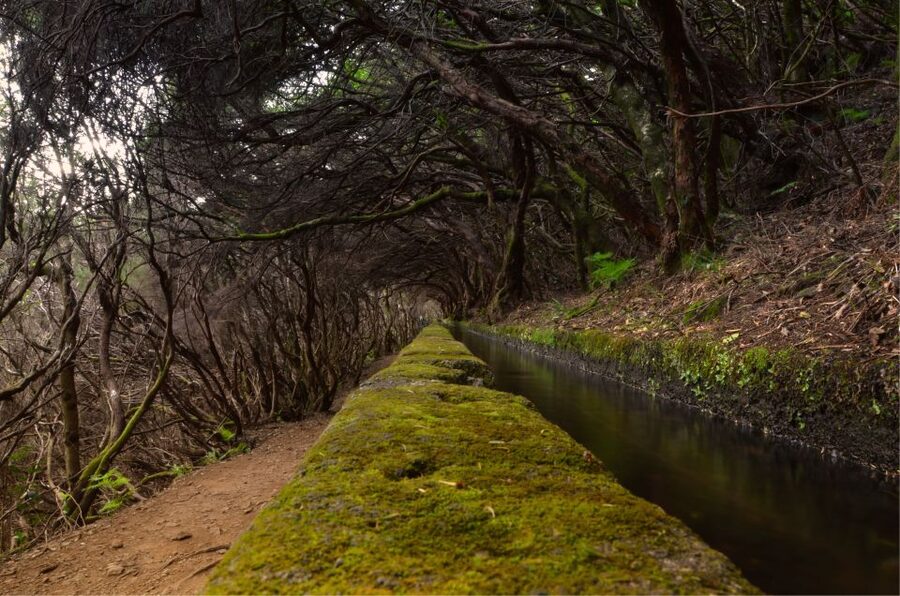 Madeira Walks - Rabaçal and the 25 Fountains - Four hours beside the levadas