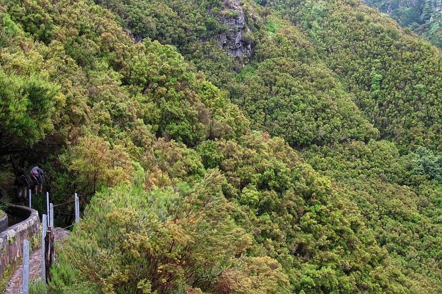 Madeira Walks - Rabaçal and the 25 Fountains - The 800-meter tunnel and the need for sensible shoes