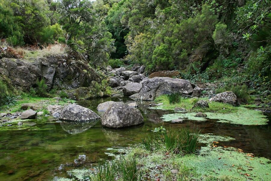 Madeira Walks - Rabaçal and the 25 Fountains - Waterfalls, springs, and the famous final pool