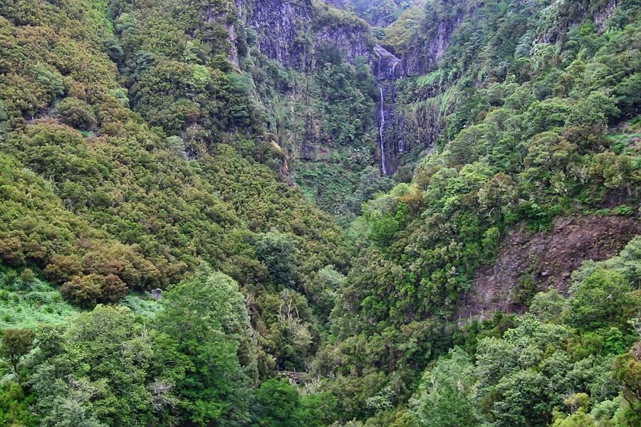 Madeira Walks - Rabaçal and the 25 Fountains - Guides who make the group work