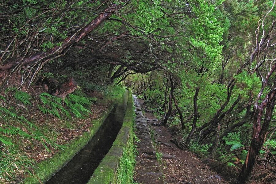 Madeira Walks - Rabaçal and the 25 Fountains - Is $50 good value for an eight-hour day?