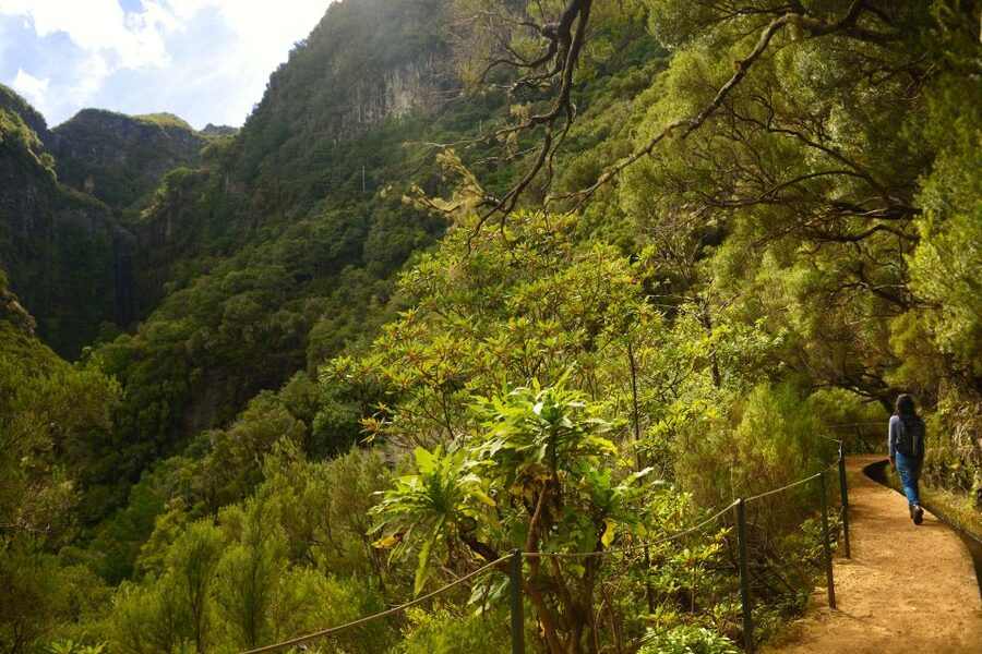 Madeira Walks - Rabaçal and the 25 Fountains - The long ride from Funchal to the reserve