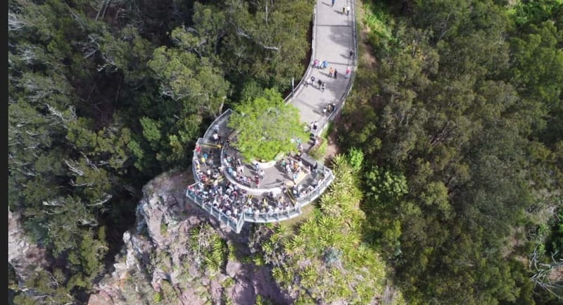 Madeira: West and East Madeira Top Highlights Tour - Why the small minibus matters