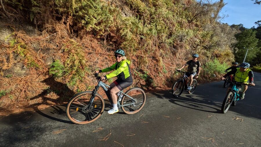 Madeira West coast: Guided Sightseeing E-Bike Tour - Farms, levadas, and everyday Madeira