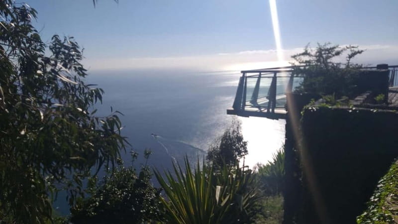 Madeira West Island Full-Day Tour with Fanal Forest - What the minibus setup means for you