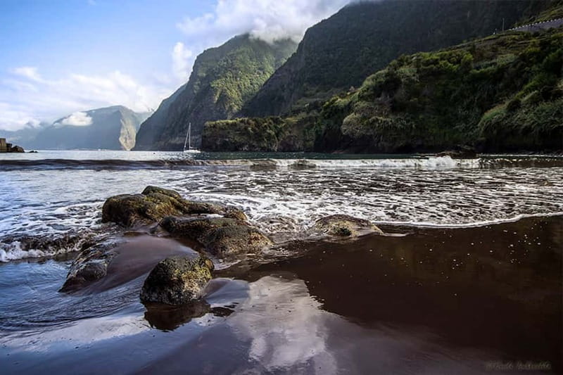 Madeira West Island Full-Day Tour with Fanal Forest - Paul da Serra and the old trees of Fanal