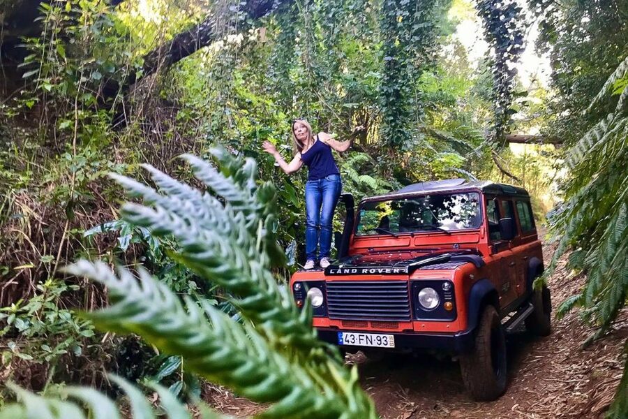 Madeira: West Side Jeep Tour with Natural Pools - Paul da Serra and the mist of Fanal Forest