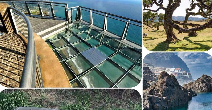 Madeira: West Tour With Guide Fanal Forest SykWalkExperience - Cabo Girão and the glass Skywalk