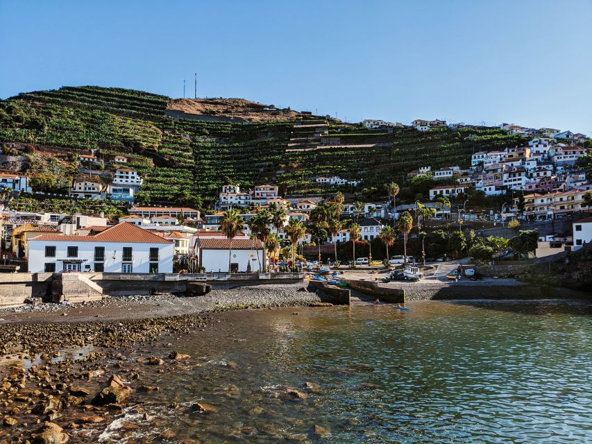 Madeira: Western Madeira Guided Trip & Fanal Mystic Forest - Ribeira da Janela and the north coast