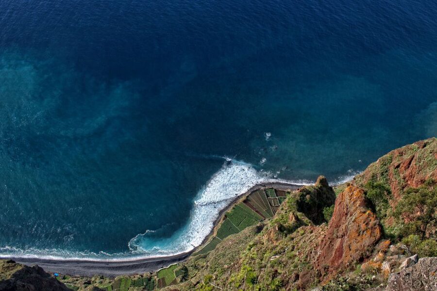Madeira: Western Madeira Guided Trip & Fanal Mystic Forest - Porto Moniz volcanic pools and 90 minutes of free time