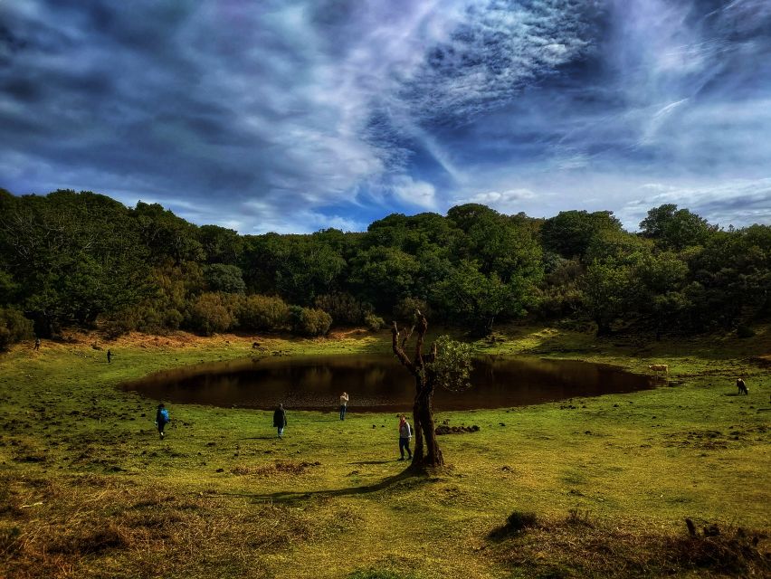 Madeira: Western Madeira Guided Trip & Fanal Mystic Forest - Guides, languages, and the drive
