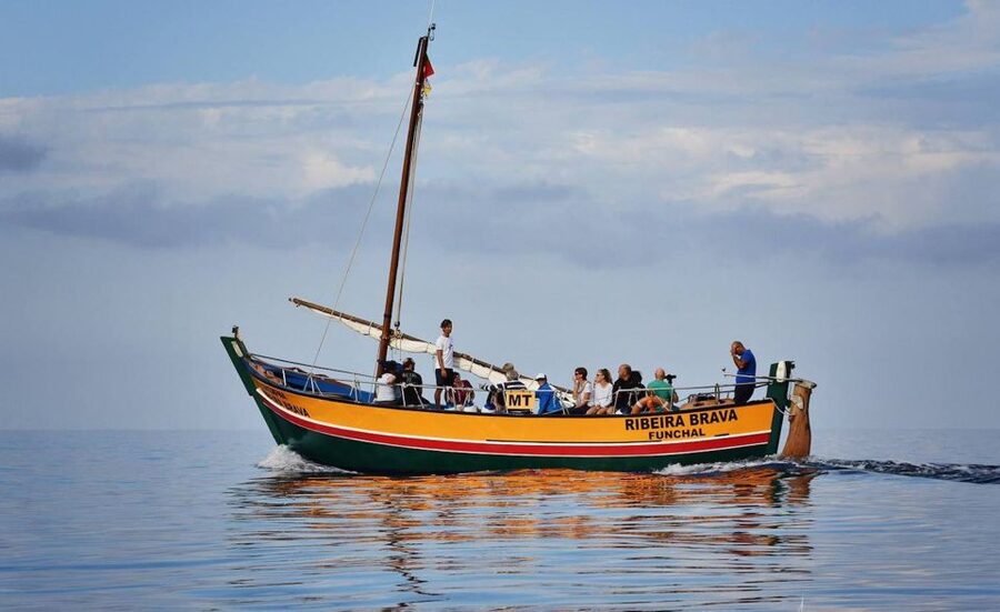 Madeira: Whale Watching Excursion in a Traditional Vessel - Final Verdict: Book It for the Boat, the Guides, and the Chance