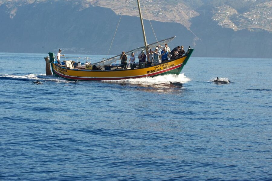 Madeira: Whale Watching Excursion in a Traditional Vessel - Who Will Enjoy This Madeira Boat Trip Most?
