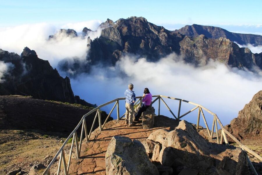 Madeira Wild West 4X4 Tour Safari - Fanal Forest rewards a slower half-hour