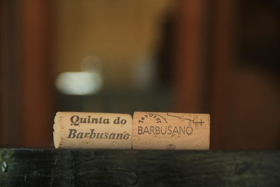 Madeira: Wine & Tapas, Cabo Girão Skywalk 4x4 Jeep Adventure - Who should book this experience?