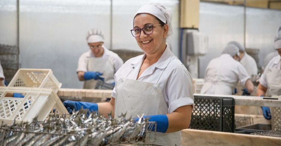 Matosinhos: Conservas Pinhais Factory Tour - Key Points Before You Book