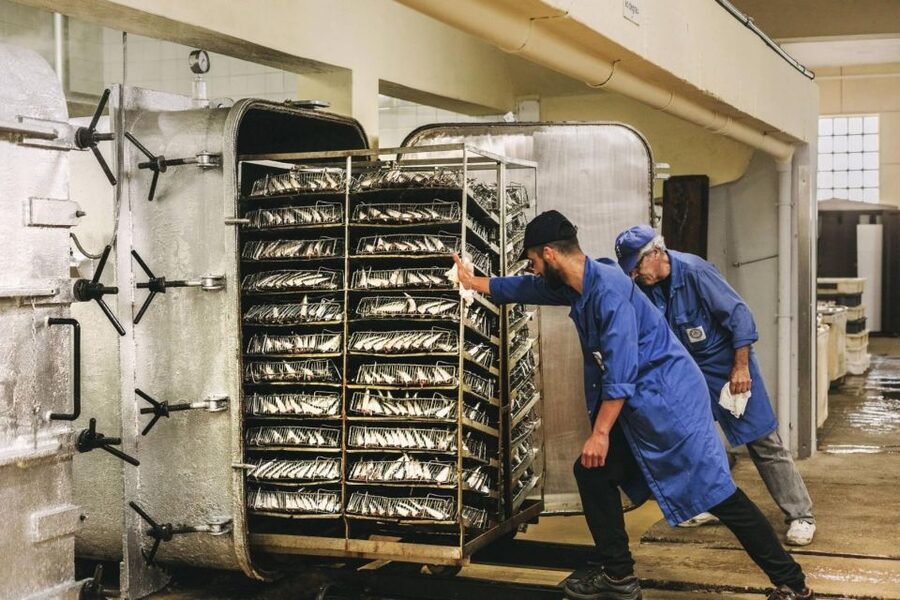 Matosinhos: Conservas Pinhais Factory Tour - Why a Sardine Cannery Makes a Good Porto Excursion