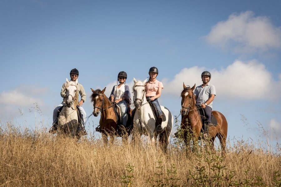 Melides: Horse Riding on the Beach with Wine Tasting - Key points to know