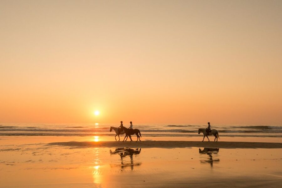 Melides: Horse Riding on the Beach with Wine Tasting - Riding from the pine forest toward the Atlantic