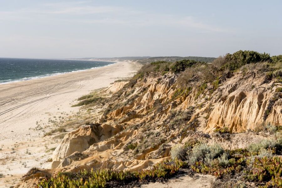 Melides: Horse Riding on the Beach with Wine Tasting - Is the $100 price fair?