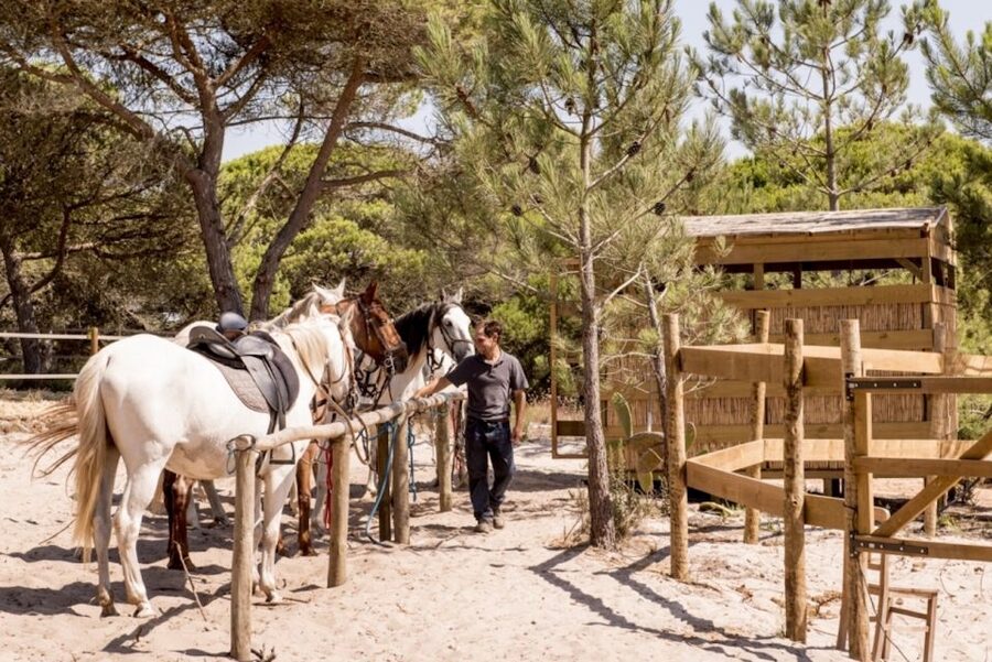 Melides: Horse Riding on the Beach with Wine Tasting - The beach section is the main event