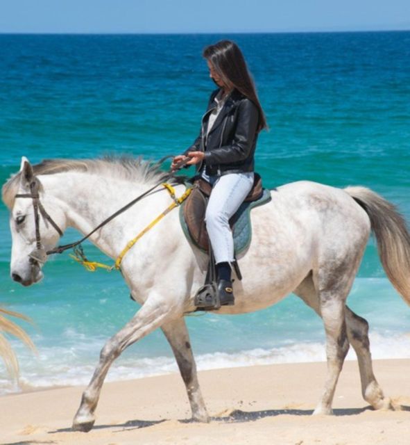 Melides: Horseback Riding on Melides Beach - Timing, weather, and what to bring