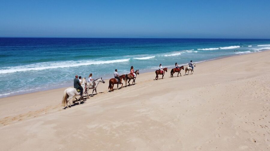 Melides: Horseback Riding on Melides Beach - From Horses By The Beach to the Atlantic