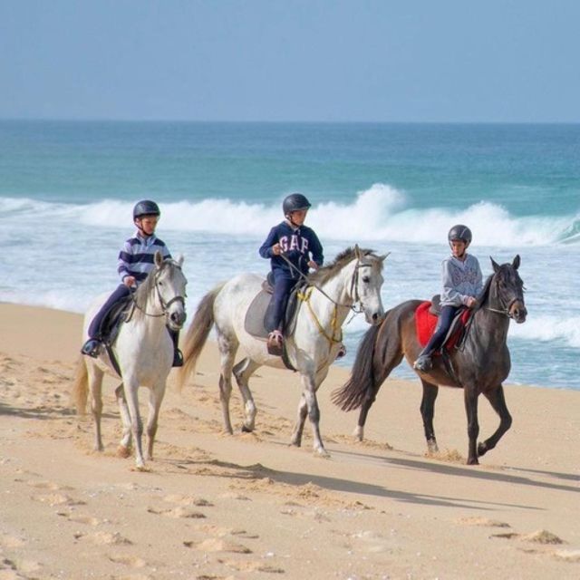 Melides: Horseback Riding on Melides Beach - Photos and the extra cost