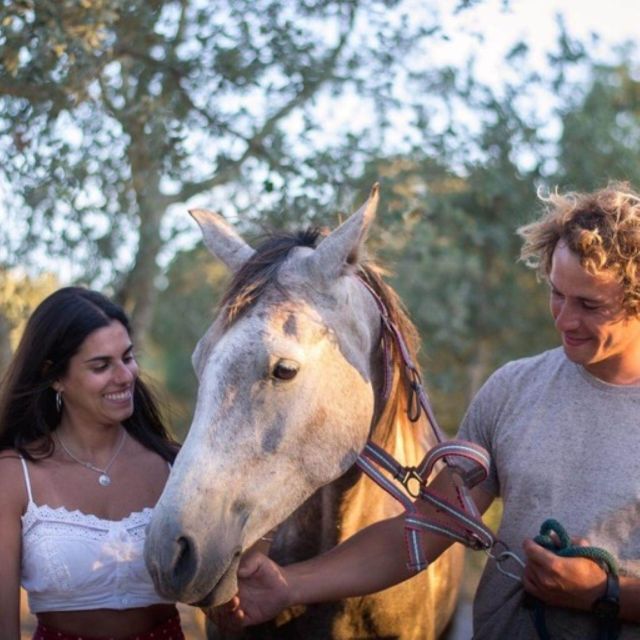 Melides: Horseback Riding on Melides Beach - Who should book this ride?