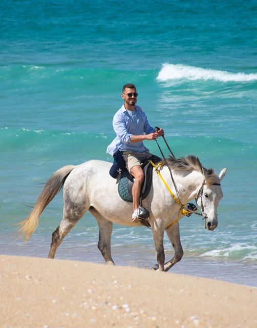 Melides: Horseback Riding on Melides Beach - Why the horses matter for beginners
