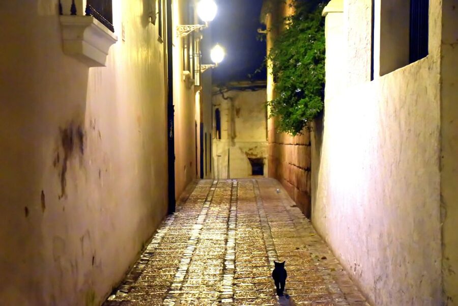 Merida: Legends and Mysteries Night Tour - The former San Juan de Dios hospital