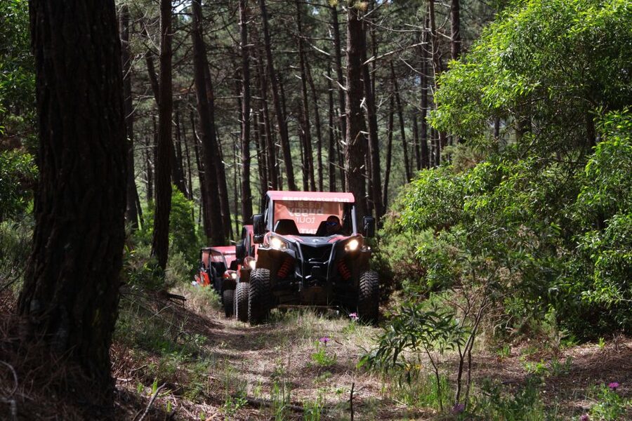 Nazaré: 4x4 Buggy Tour with Guide - Who should book this Nazaré outing?