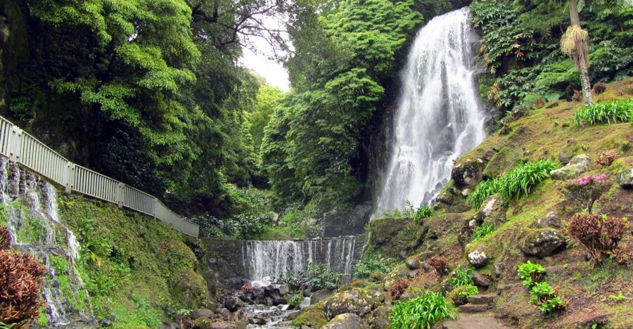 Nordeste Tour from Ponta Delgada - Why Nordeste is worth a full day from Ponta Delgada