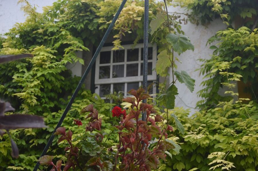 Óbidos: Medieval Tales & Secrets Spots Guided Walking Tour - Ginjinha in a chocolate cup