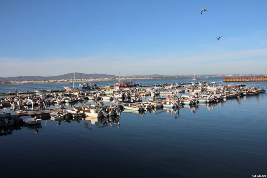 Olhão: 3 Islands Guided Sightseeing Tour with Lunch - Who should book this experience?