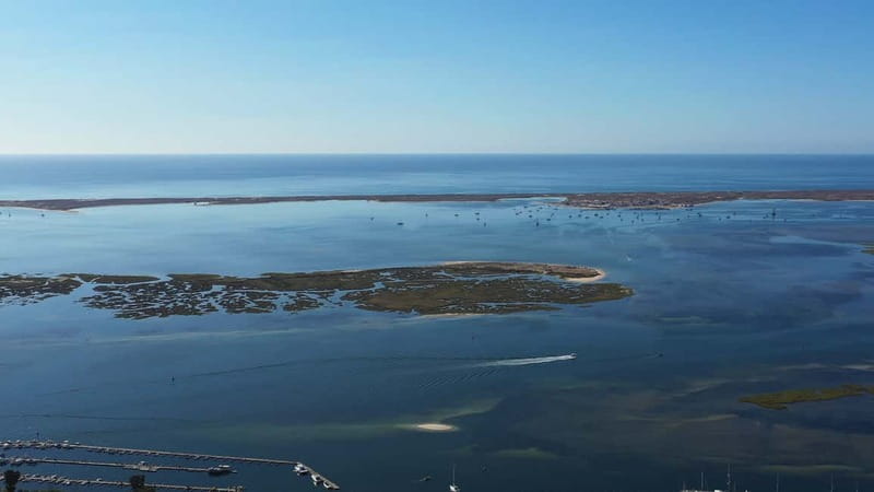 Olhão: Ria Formosa National Park Boat Cruise - Key points to know before you book