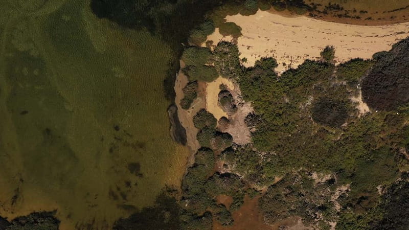 Olhão: Ria Formosa National Park Boat Cruise - What the $34 price really covers