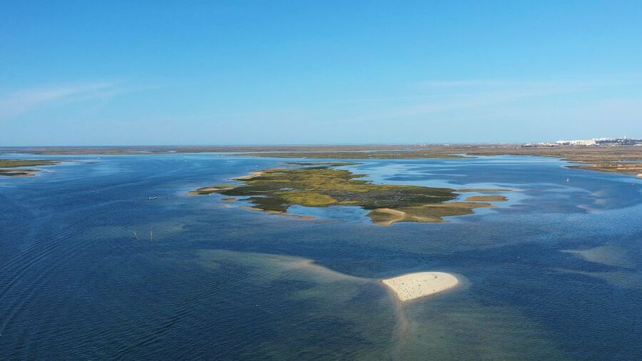 Olhão: Ria Formosa National Park Boat Cruise - Who will enjoy this cruise most