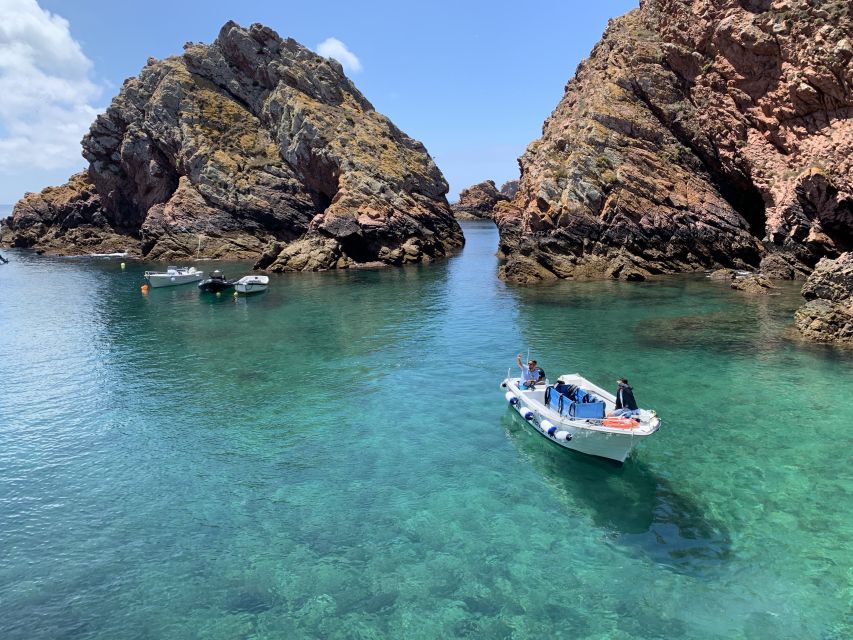 Peniche: Berlenga Island and Cave Tour - Key points at a glance