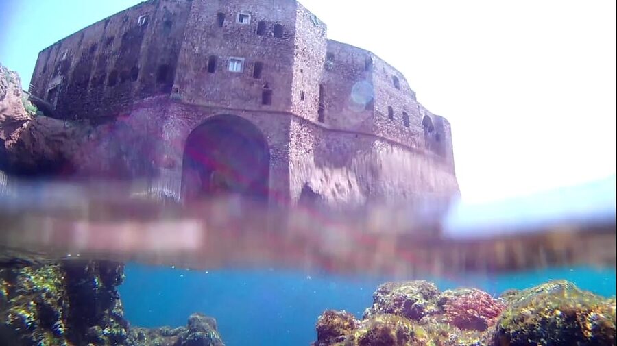 Peniche: Berlengas Island Catamaran Tour + Snorkeling - Should you book the Berlenga Island catamaran tour?