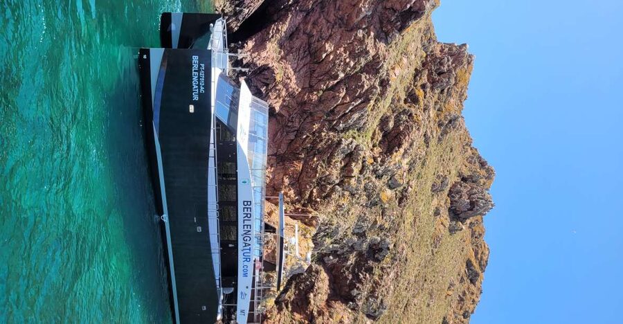 Peniche: Berlengas Island Round-Trip Ferry with Island Stop - Key points to know before you book