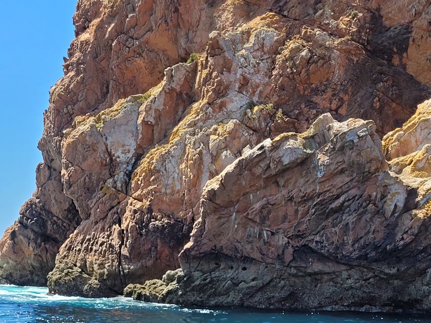 Peniche: Berlengas Island Round-Trip Ferry with Island Stop - Finding food and making the most of free time