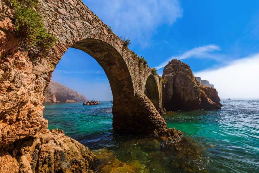 Peniche: Berlengas Roundtrip and Glass-Bottom Boat Cave Tour - Who will enjoy this most
