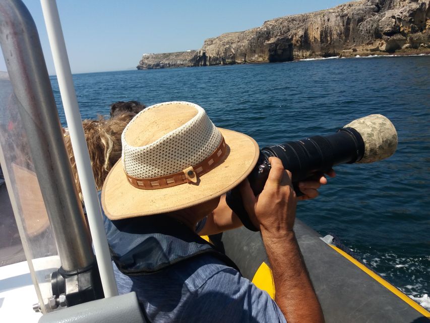Peniche: Dolphin Route Boat Trip - Key points to know before you book