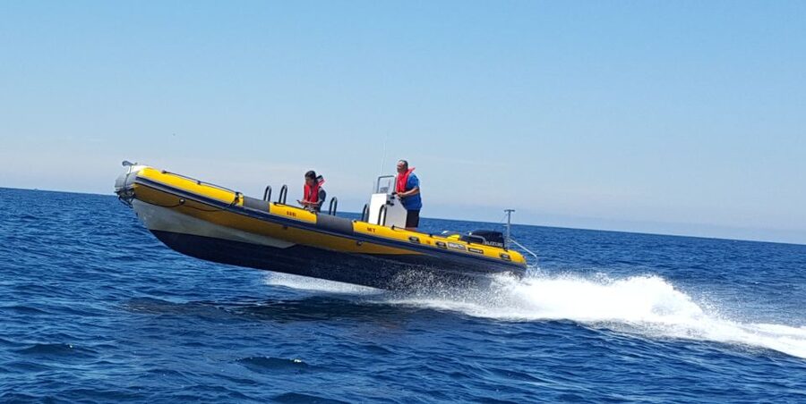 Peniche: Dolphin Route Boat Trip - A boat ride shaped by the sea